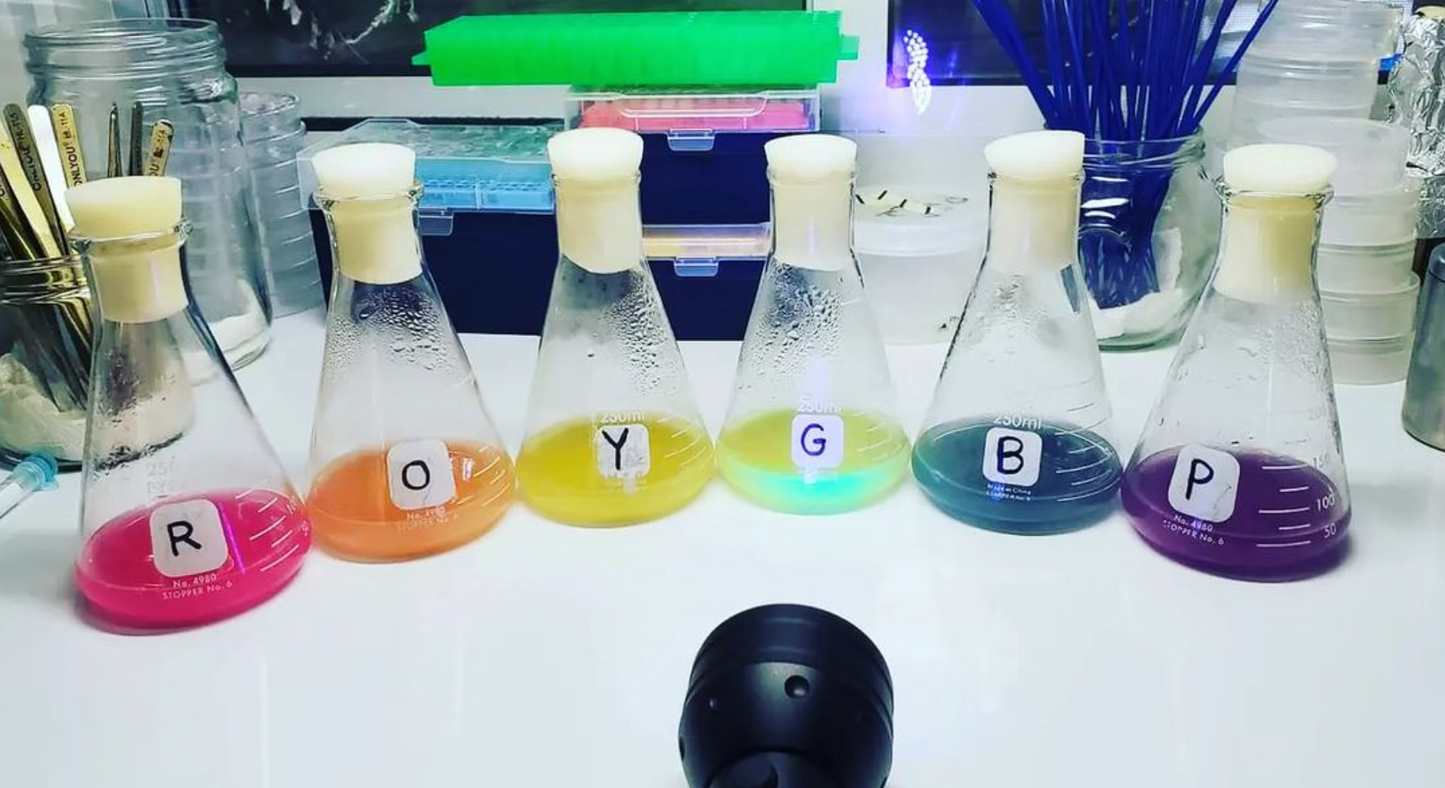 Rainbow Chromoprotein Plasmid Set