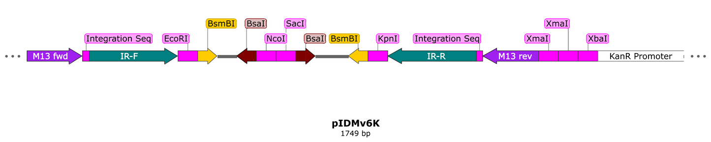 pIDMv6K Open Source Cloning Vector